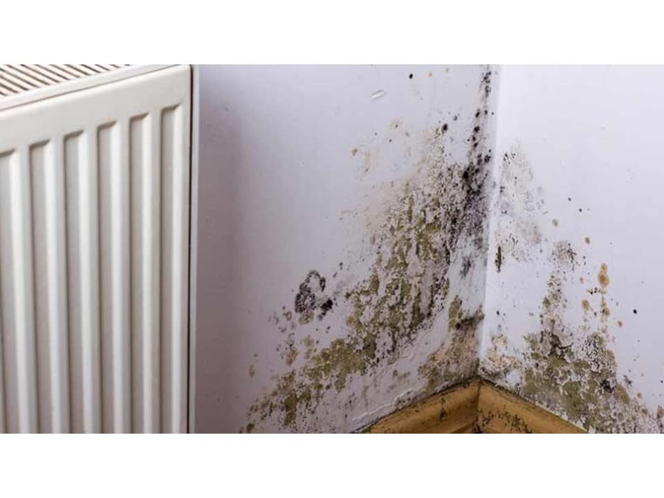 image 1 of SmartSeal - Anti-Mould Paint - Brilliant White (5L) For Bathroom, Kitchen and Bedroom Walls & Ceilings - Protection Against Mould