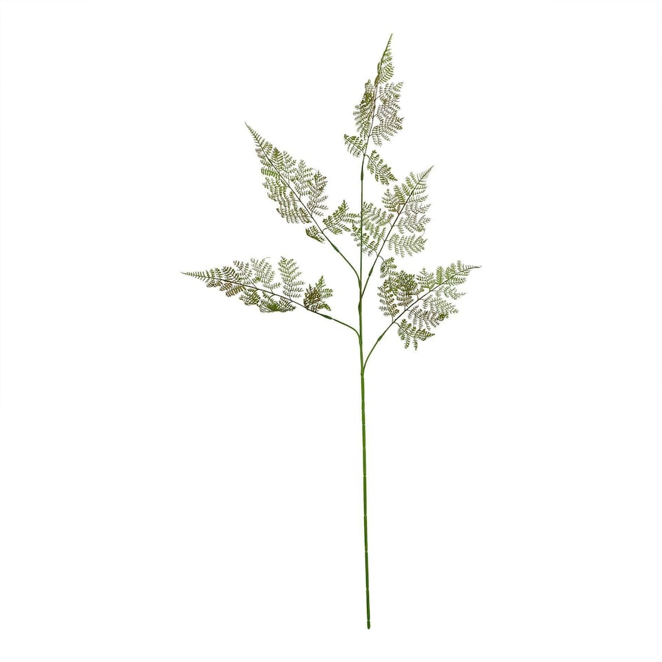 image 1 of Hill Interiors The Natural Garden Collection Bracken Fern Artificial Flower Spray - Green - One Size