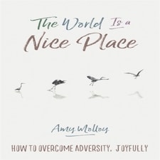 The World Is A Nice Place