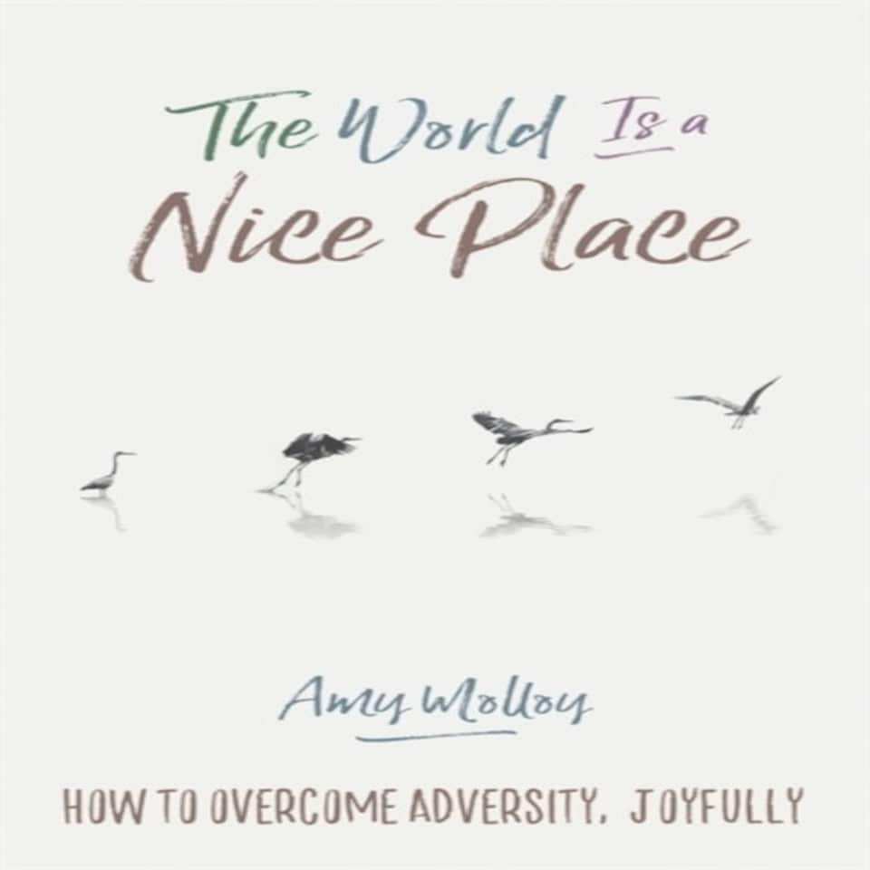 The World Is A Nice Place