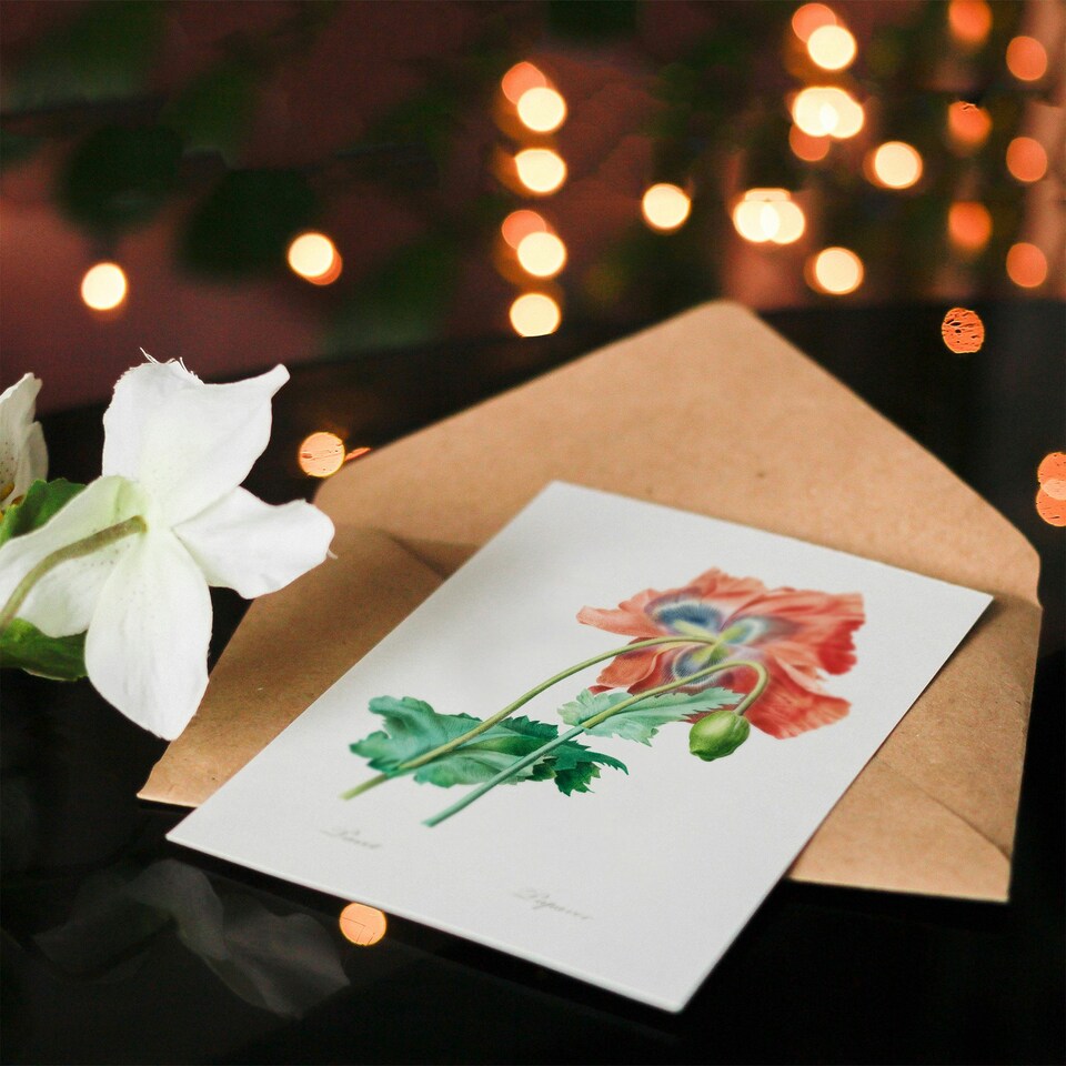 image 1 of Pierre-Joseph Redouté Art Card Poppy Flower Vintage Botanical