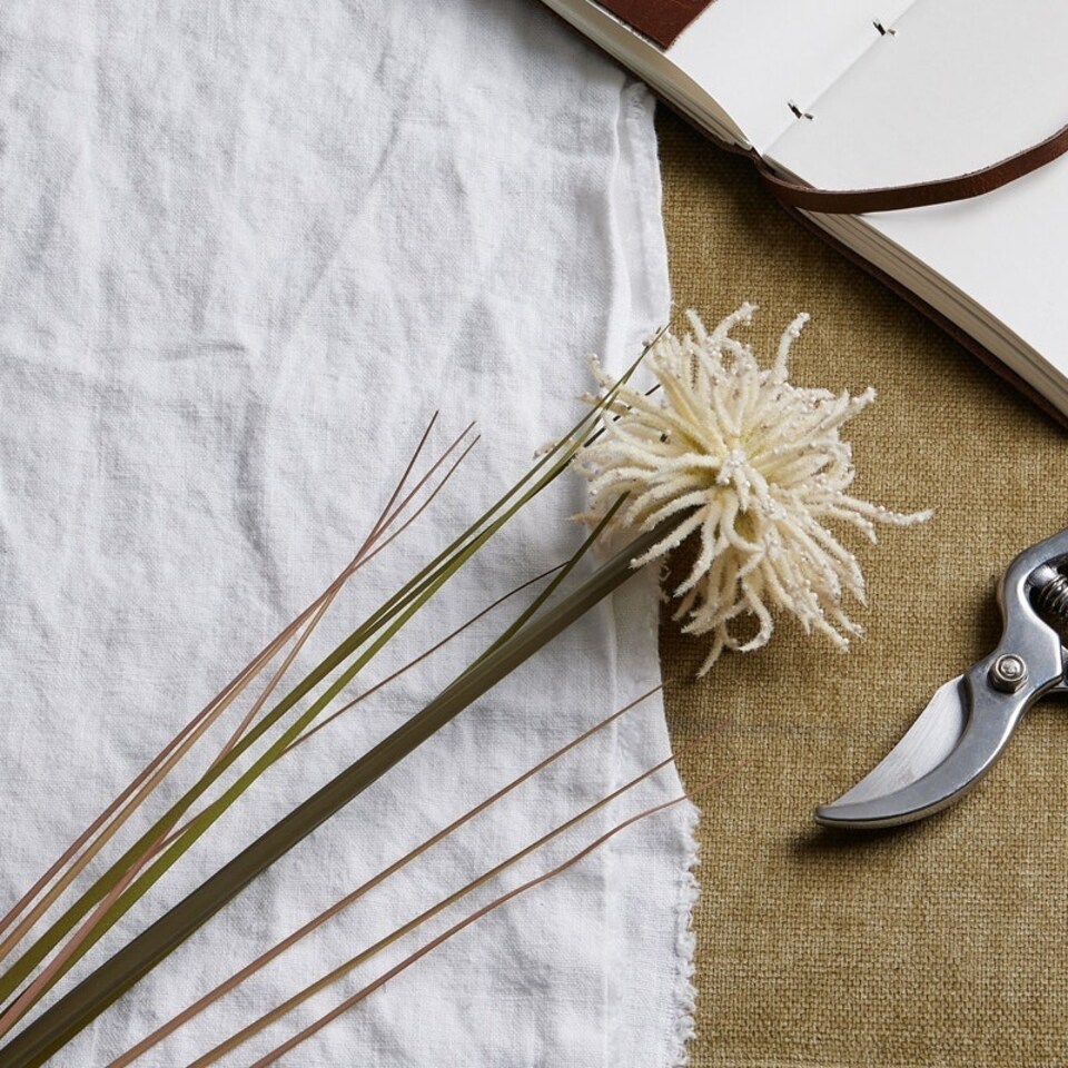 image 1 of Aster Spider Chrysanthemum Stem - Plastic - H80 cm - Cream