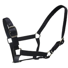 Roma Horse Headcollar And Leadrope - Black - Full
