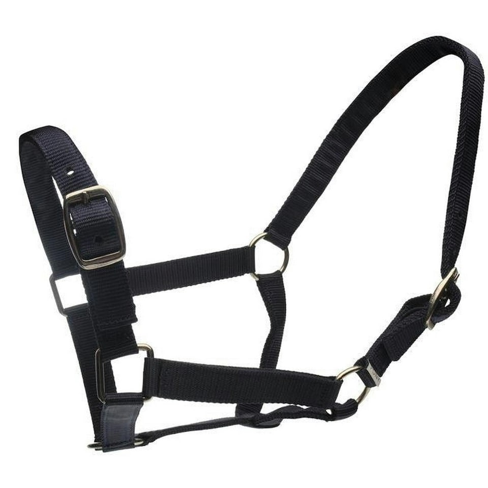 image 1 of Roma Horse Headcollar And Leadrope - Black - Full