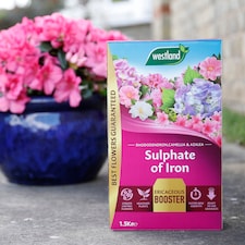 Westland Sulphate of Iron for Ericaceous Plants 1.5 kg box