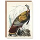 image 1 of John James Audubon Art Card Birds of America Wild Turkey
