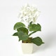 image 1 of Homescapes Small Cream Artificial Hydrangea Flower in Cream Pot, 38 cm Tall