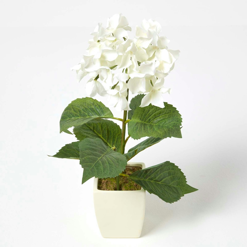 image 1 of Homescapes Small Cream Artificial Hydrangea Flower in Cream Pot, 38 cm Tall