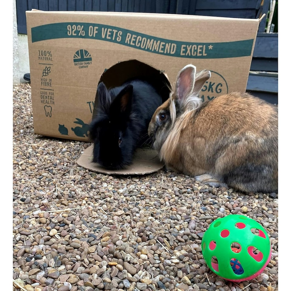 image 1 of Burgess Excel Timothy Feeding Hay Box - 4.5KG