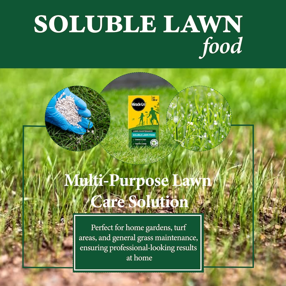 image 1 of Miracle Gro Water Soluble Lawn Food Richer Greener Lawn Feed With Iron 1kg