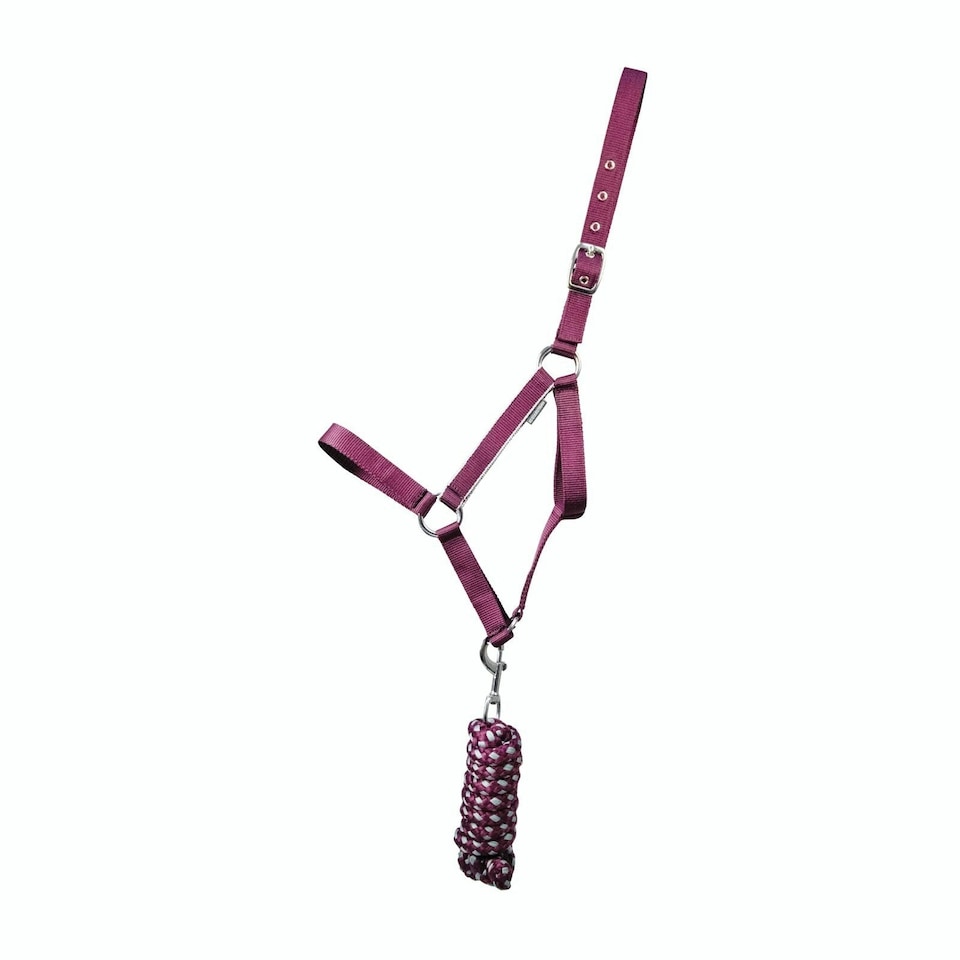 image 1 of Hy Synergy Horse Headcollar and Leadrope - Fig/Silver - Pony