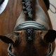 image 4 of Collegiate Comfitec Vogue Leather Horse Bridle - Black - Cob