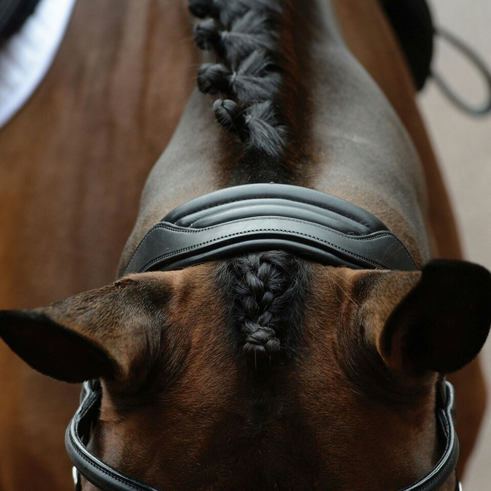image 1 of Collegiate Comfitec Vogue Leather Horse Bridle - Black - Cob