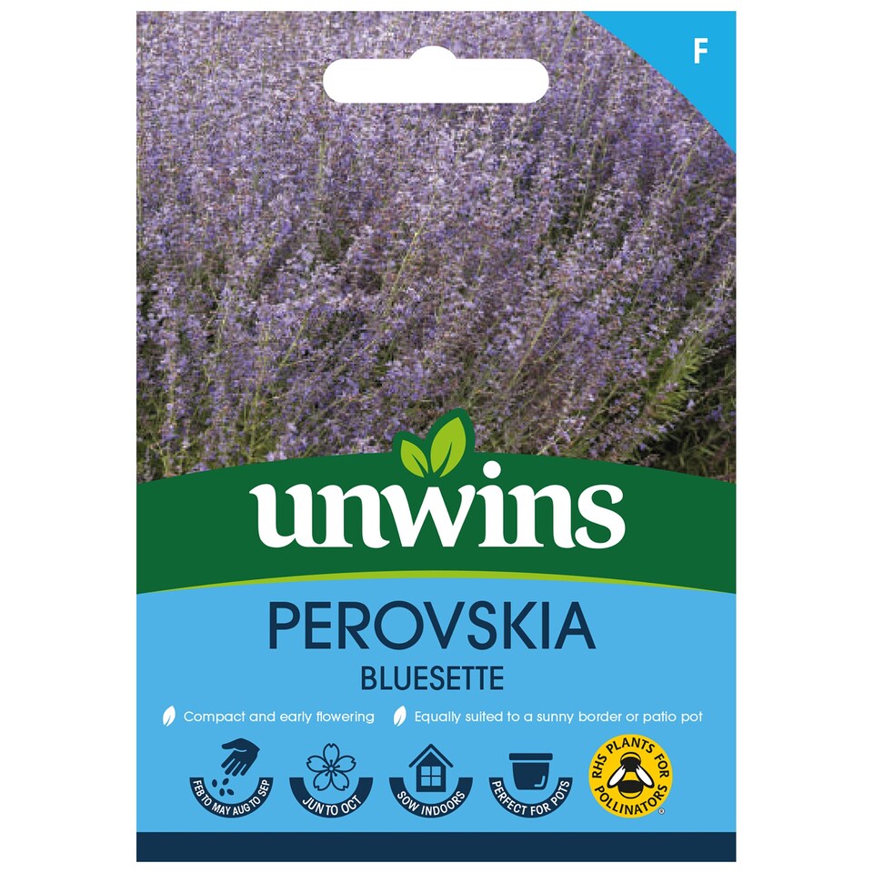 image 1 of Marshalls Garden Perovskia 'Bluesette' 6 Seeds