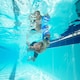 image 4 of Zoggs Predator Junior Swimming Goggles