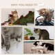image 5 of PawHut 4PCs Wall Mounted Cat Furniture Set with Steps Scratching Post, Grey