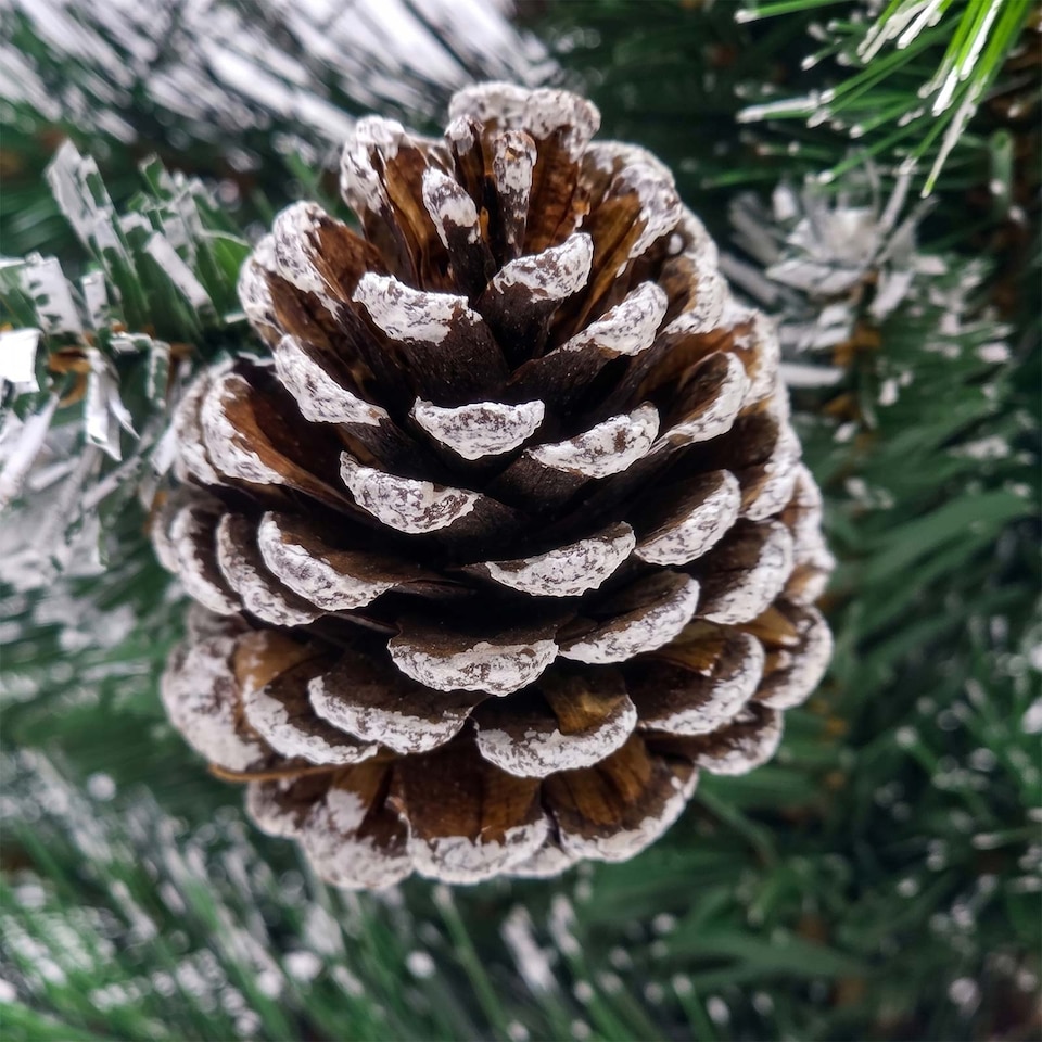 image 1 of Homescapes Artificial Pinecone & Berry in Burlap, 60cm