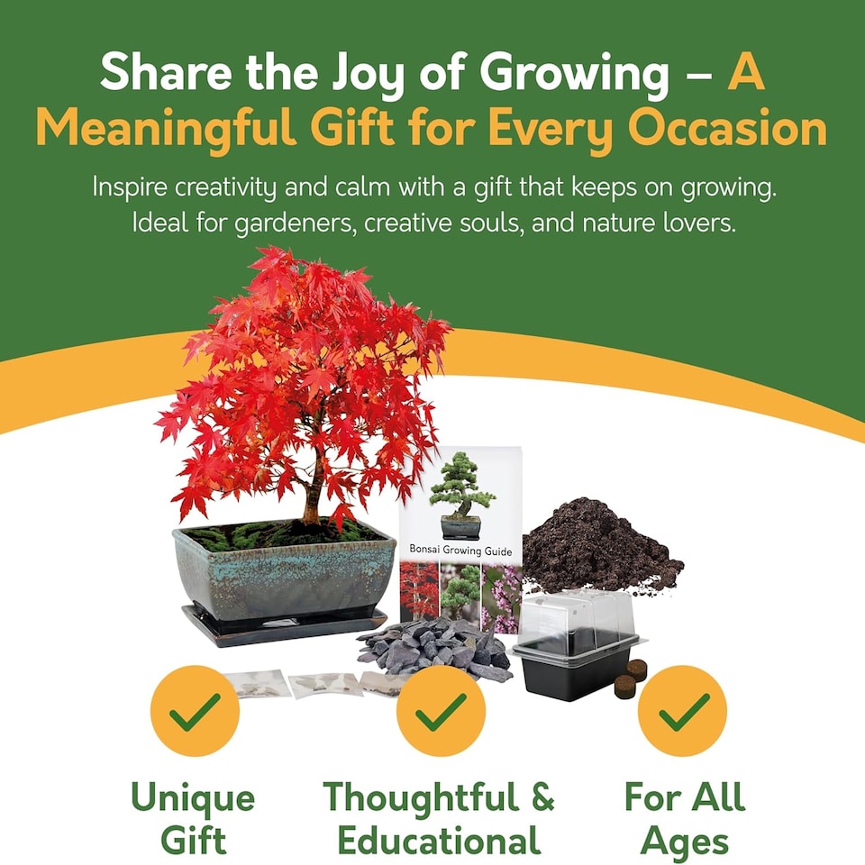 image 1 of Pronto Seed Bonsai Tree Kit with Traditional Bonsai Pot & 3 Bonsai Seed Varieties - Grow Your Own Bonsai - Gardening Gifts for Men