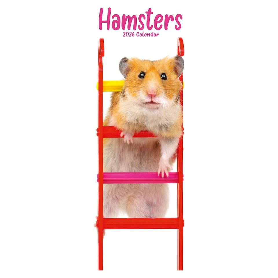 image 1 of Hamsters Slim 2026 Calendar | Slimline Wall Calendar | Animal Gift | Plastic Free Packaging | by Avonside Publishing [Calendar] Avonside Publishing Ltd