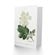 image 2 of Pierre-Joseph Redouté Art Card Oakleaf Hydrangea Flowers
