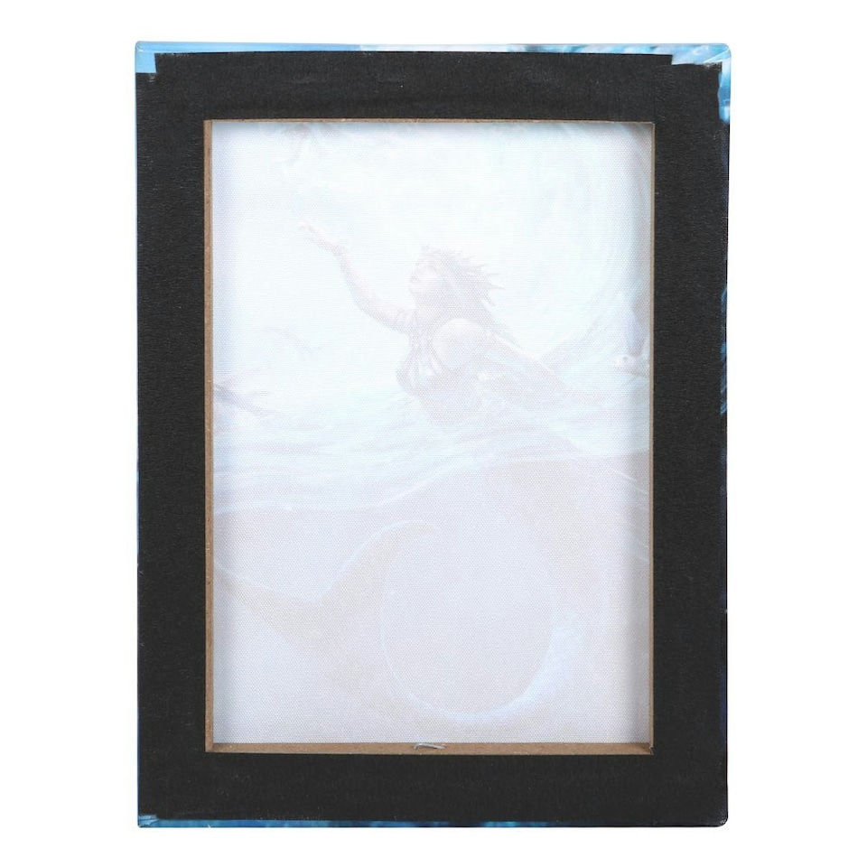 image 1 of Anne Stokes Water Elemental Sorceress Canvas Plaque - Blue - One Size