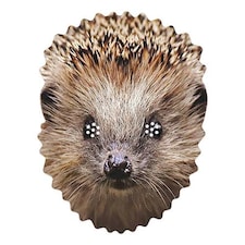 Hedgehog Cardboard Face Mask