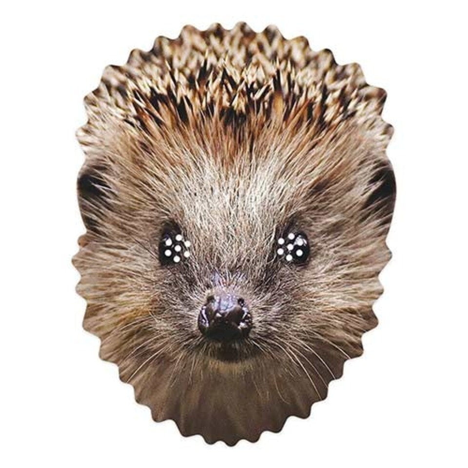 Hedgehog Cardboard Face Mask