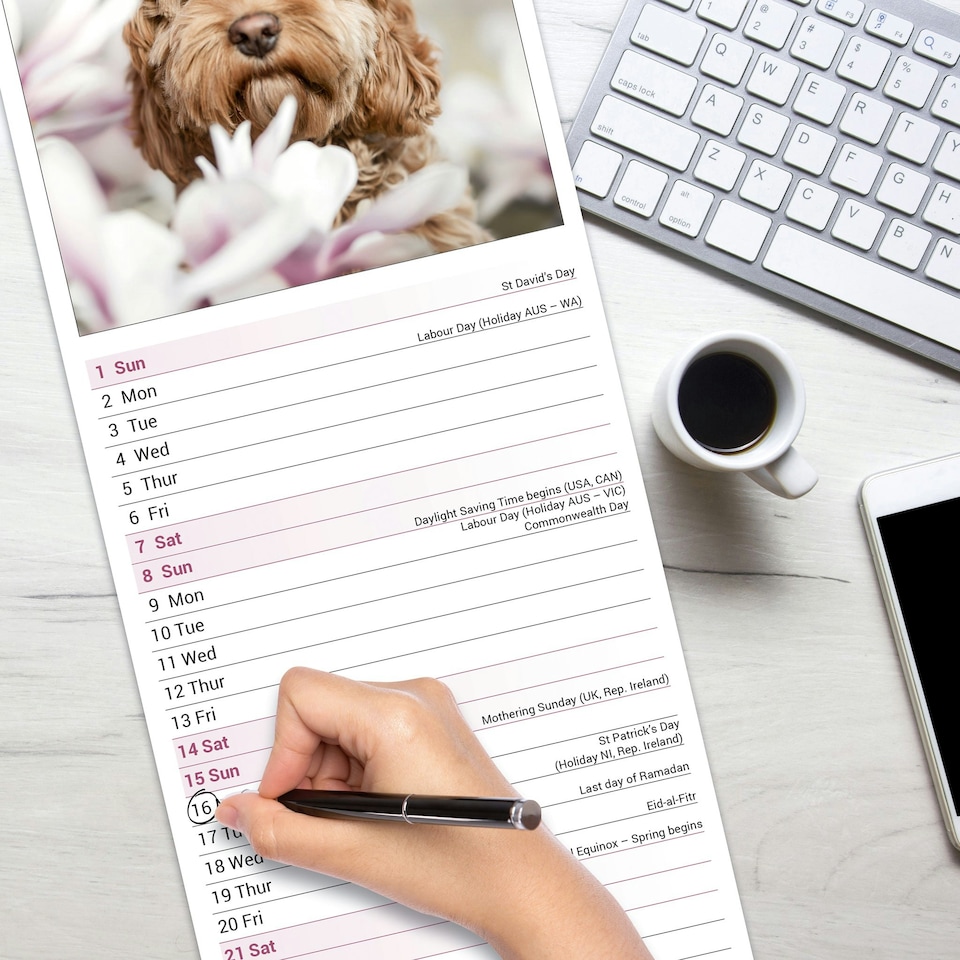 image 1 of Cockapoo Slim 2026 Calendar | Slimline Wall Calendar | Dog Breed Gift | Plastic Free Packaging | by Avonside Publishing [Calendar] Avonside Publishing Ltd