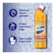 image 7 of Domestos Original Gold Pack Edition Thick Bleach 750ml