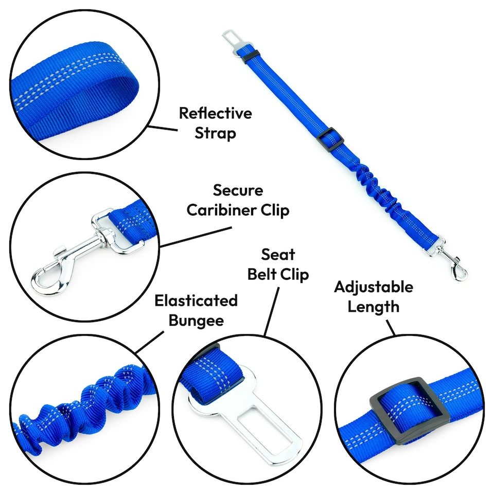 image 1 of KCT Blue Car Seatbelt for Dogs - 2 Pack Blue | L
