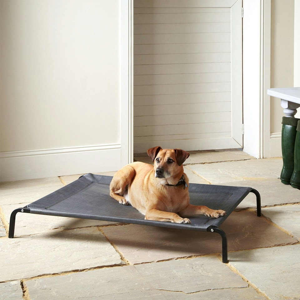 image 1 of Raised Dog Bed, Elevated, Waterproof Outdoor - Bunty Grey | S