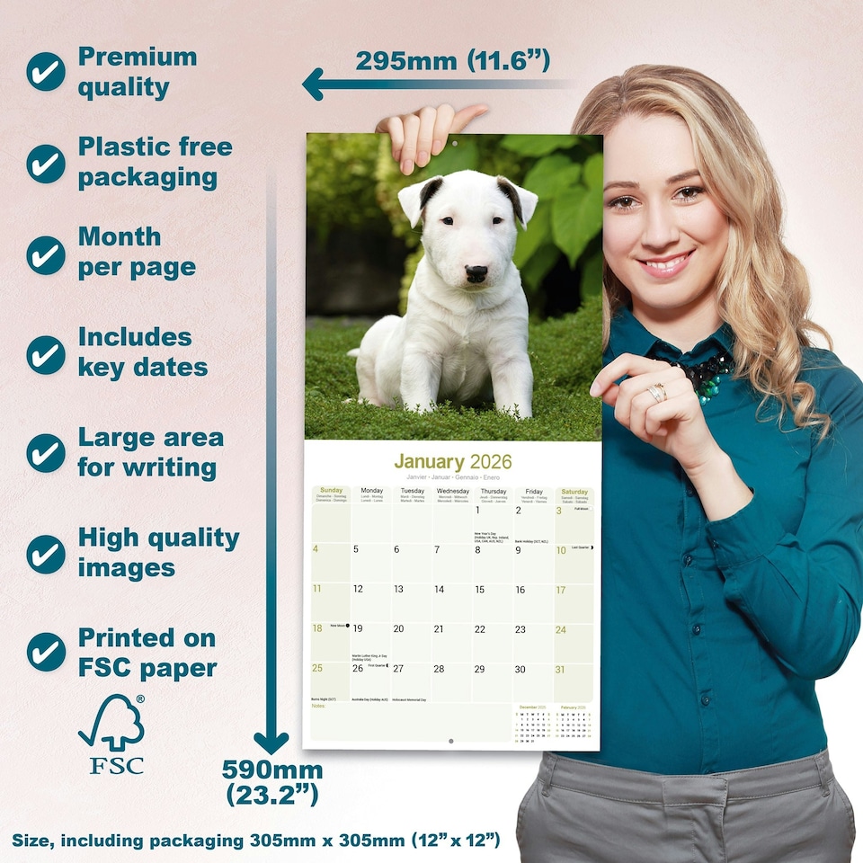 image 1 of Bull Terrier 2026 Calendar | Square Wall Calendar | Dog Breed Gift | Plastic Free Packaging | by Avonside Publishing
