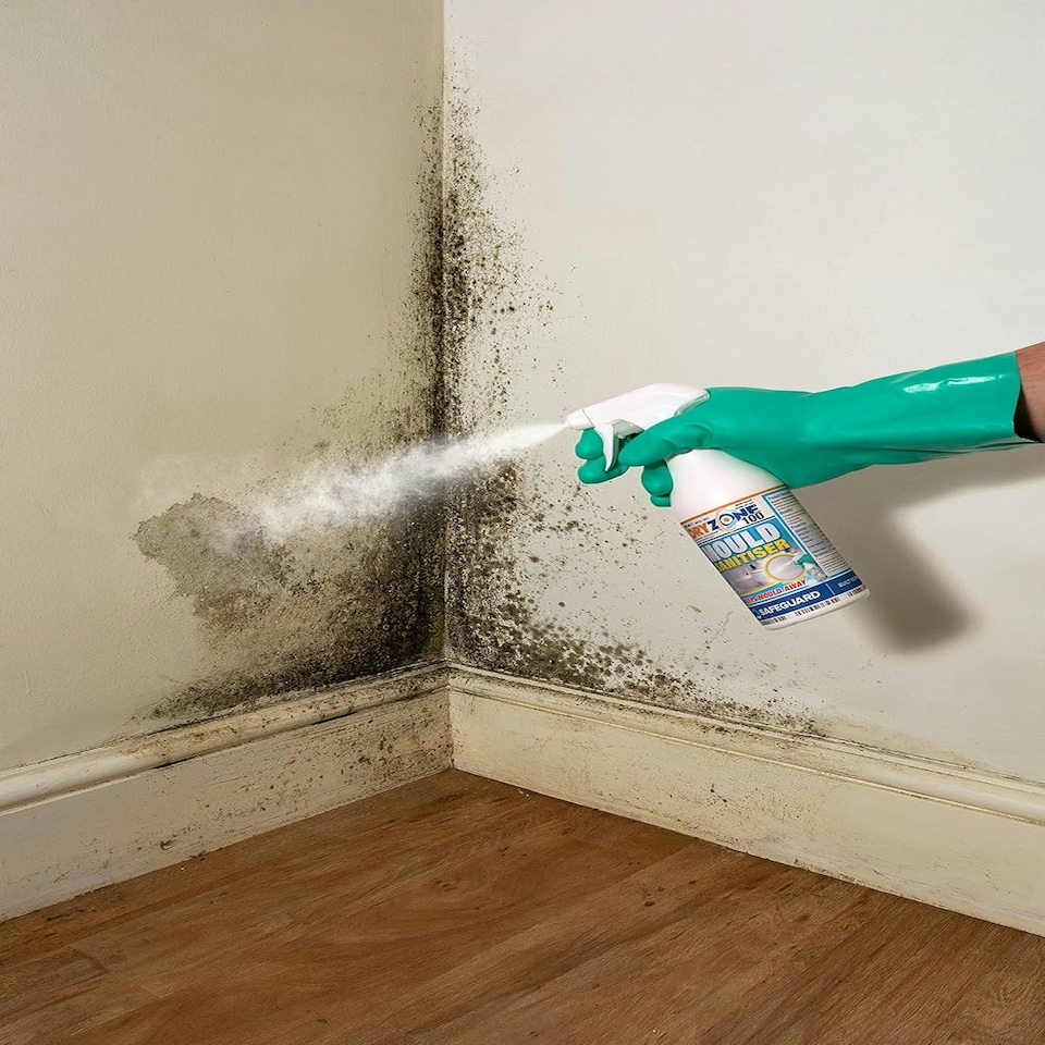 image 1 of Dryzone 100 Mould Spray & Dryzone Anti-Mould Paint Additive - Remove & Prevent Mould