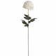 image 1 of Large Chrysanthemum Artificial Flower - Fabric/Plastic - L15 x W15 x H87 cm - White