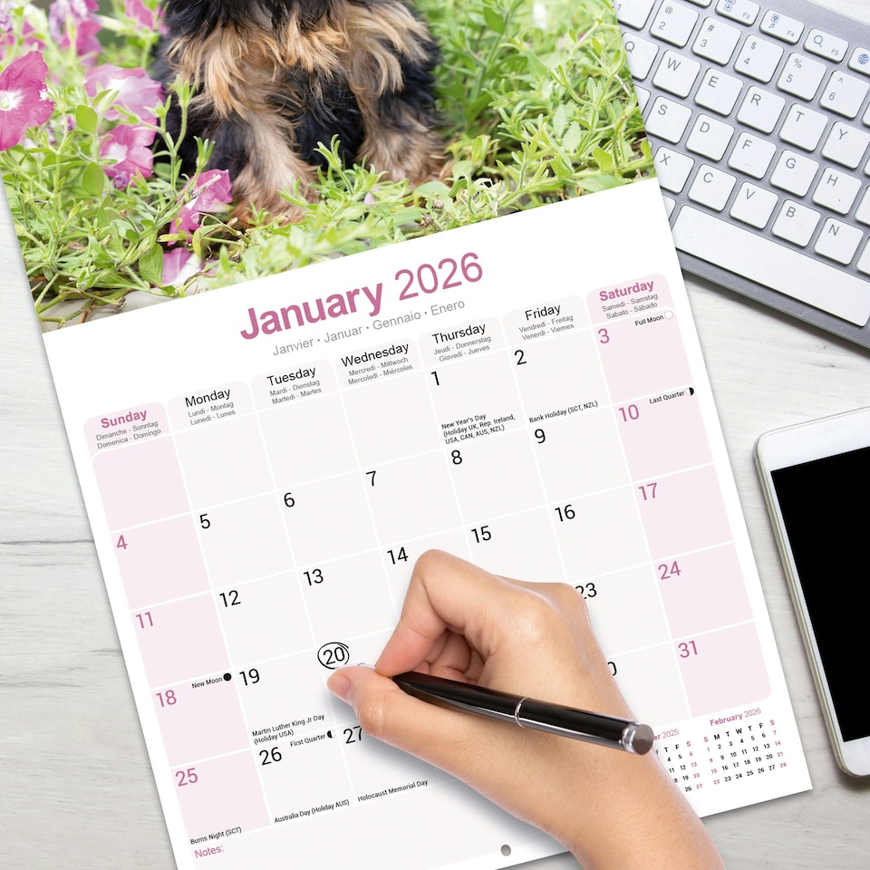 image 1 of Yorkshire Terrier 2026 Calendar | Square Wall Calendar | Dog Breed Gift | Plastic Free Packaging | by Avonside Publishing