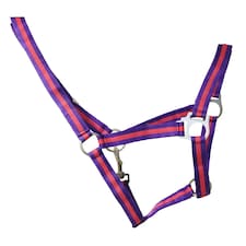 Hy Duo Head Collar - Purple/Fuchsia - Full