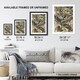 image 3 of Lacertilia Reptile Lizard Species Haeckel Huge Wall Art Print 18X24 In