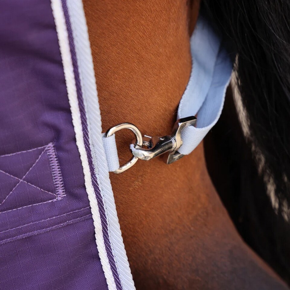 image 1 of Shires Highlander Original 100 Turnout Rug | Purple | Size: 5ft 0
Colour: Plum