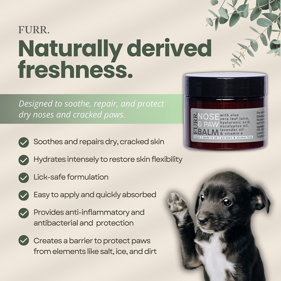 image 1 of FURR Paw & Nose Balm for Dogs 50ml, Lick-Safe, Natural Healing & Hydration for Dry Noses & Cracked Paws