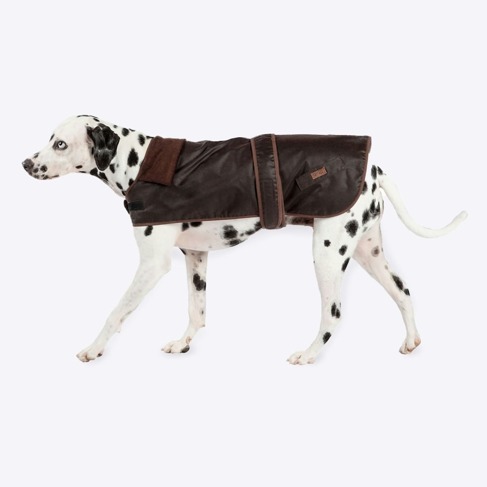 image 1 of Fatface Sussex Wax Dog Coat 50cm (20")