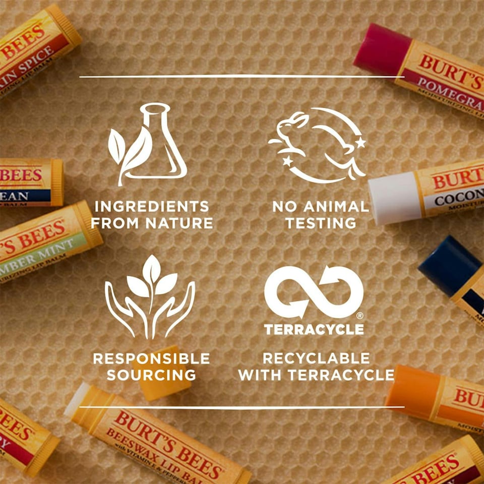 image 1 of Burts Bees Lip Balm Vanilla Bean Refill 0.15oz