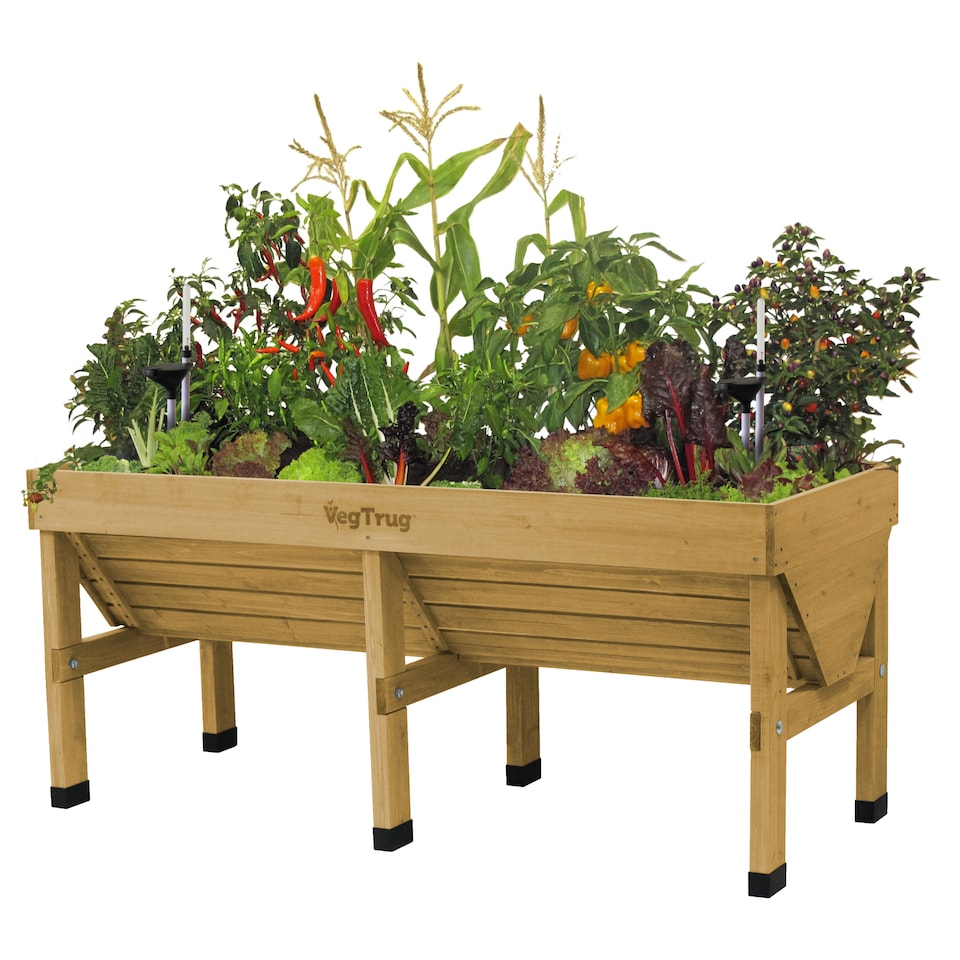 image 1 of VegTrug Self Watering Kit Medium Classic