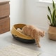 image 4 of Oval Cat Litter Tray Box with Rim | Yellow | 1