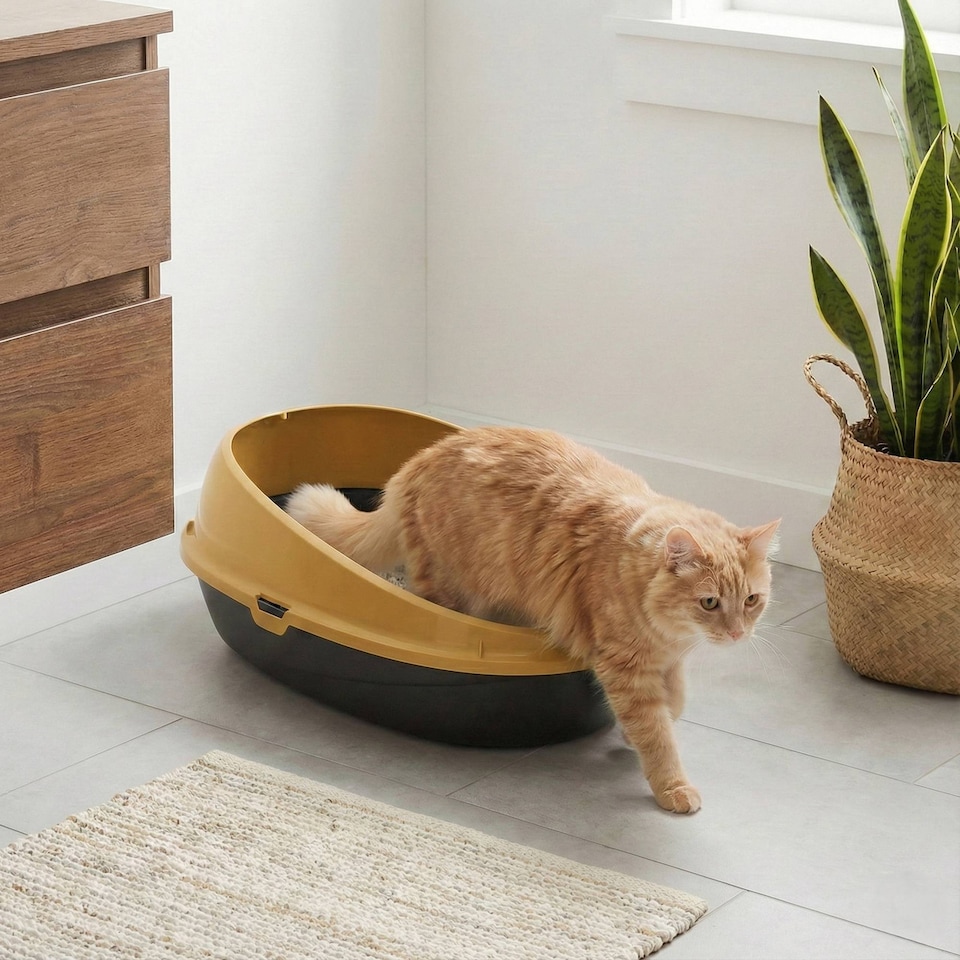image 1 of Oval Cat Litter Tray Box with Rim | Yellow | 1