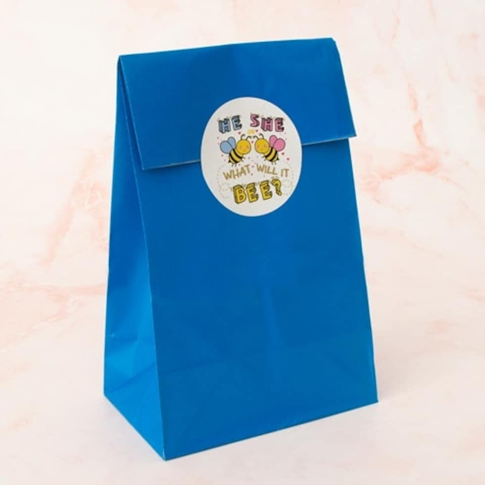 image 1 of What Will it Bee Gender Reveal Round Stickers 60mm - Sheet of 12