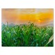 image 1 of Green corn field in agricultural sun Designer Glass Chopping Board | Multi