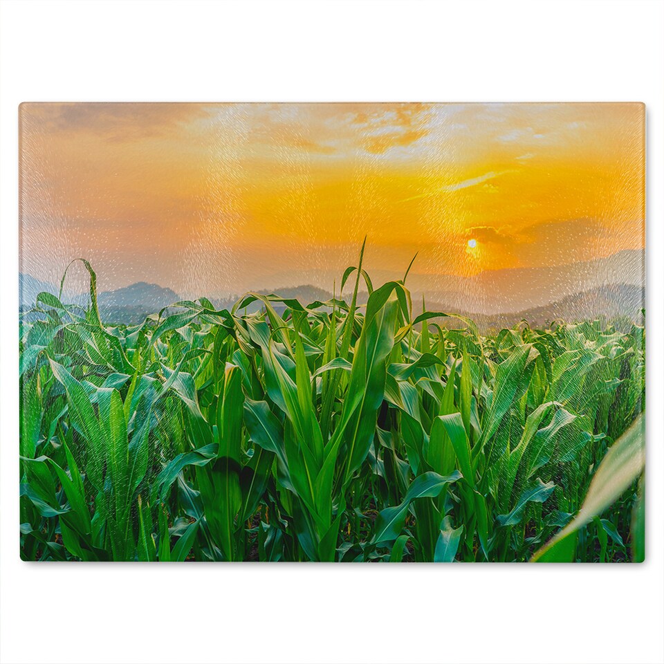 image 1 of Green corn field in agricultural sun Designer Glass Chopping Board | Multi