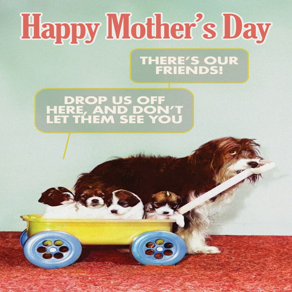 image 1 of Drop Us Off Here, And Don't Let Them See You... - Funny Mother's Day Card