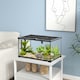 image 7 of PawHut Glass Reptile Terrarium Habitats for Lizards, Frogs, Snake 50 x 30 x 25cm