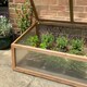 image 6 of Wooden Framed Polycarbonate Cold Frame